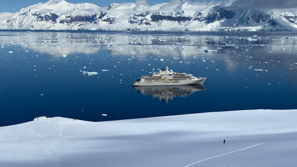 Cap sur le grand sud : à quoi s’attendre lors d’une croisière en antarctique ?