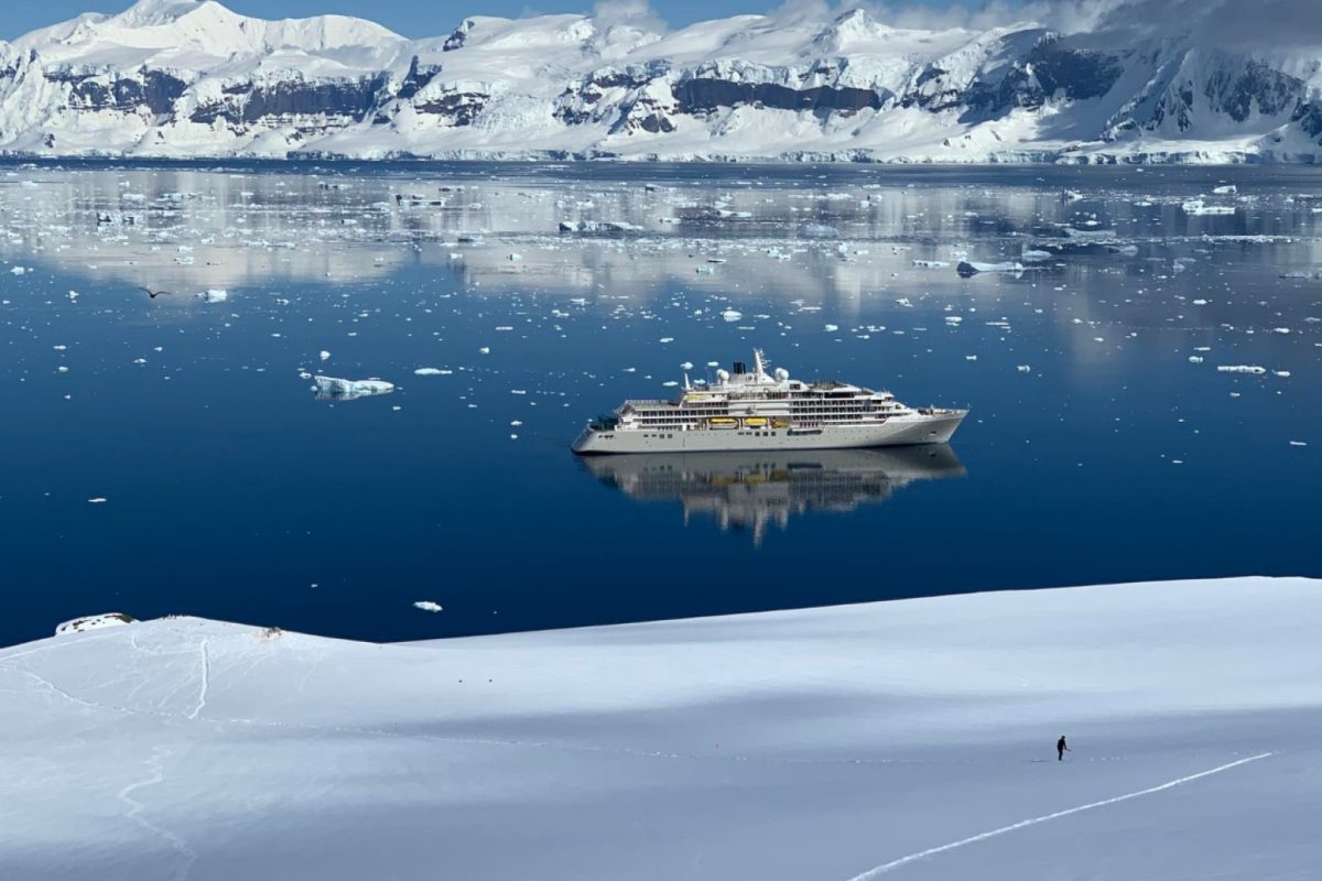 Cap sur le grand sud : à quoi s’attendre lors d’une croisière en antarctique ?
