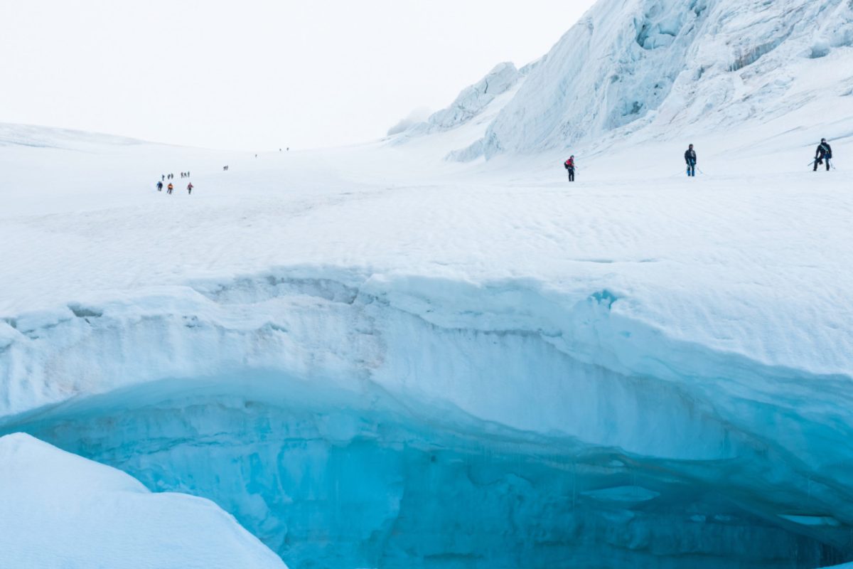 Croisière en Antarctique : pourquoi la période de décembre à mars est la plus populaire ?