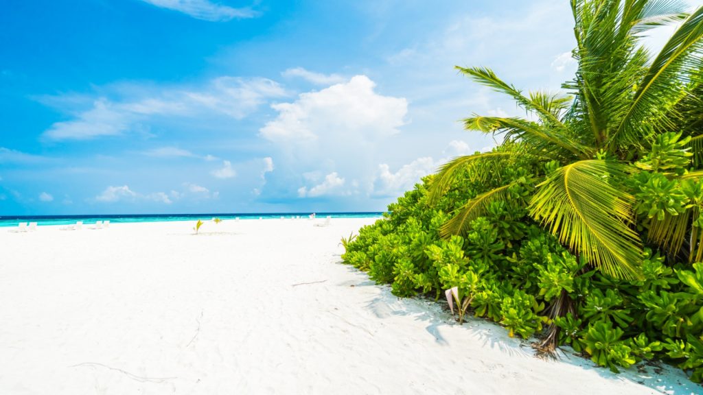 Les îles secrètes à découvrir absolument lors d'une croisière