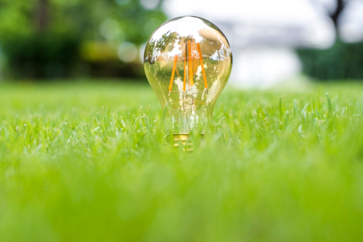 Production locale, impact global : comprendre l’énergie verte en France